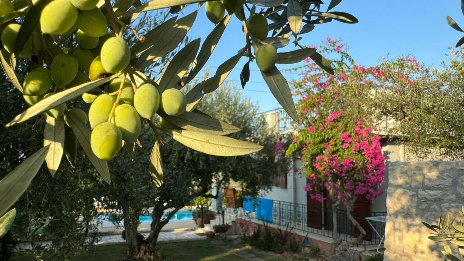 Lily'S Cottage Платанес Экстерьер фото