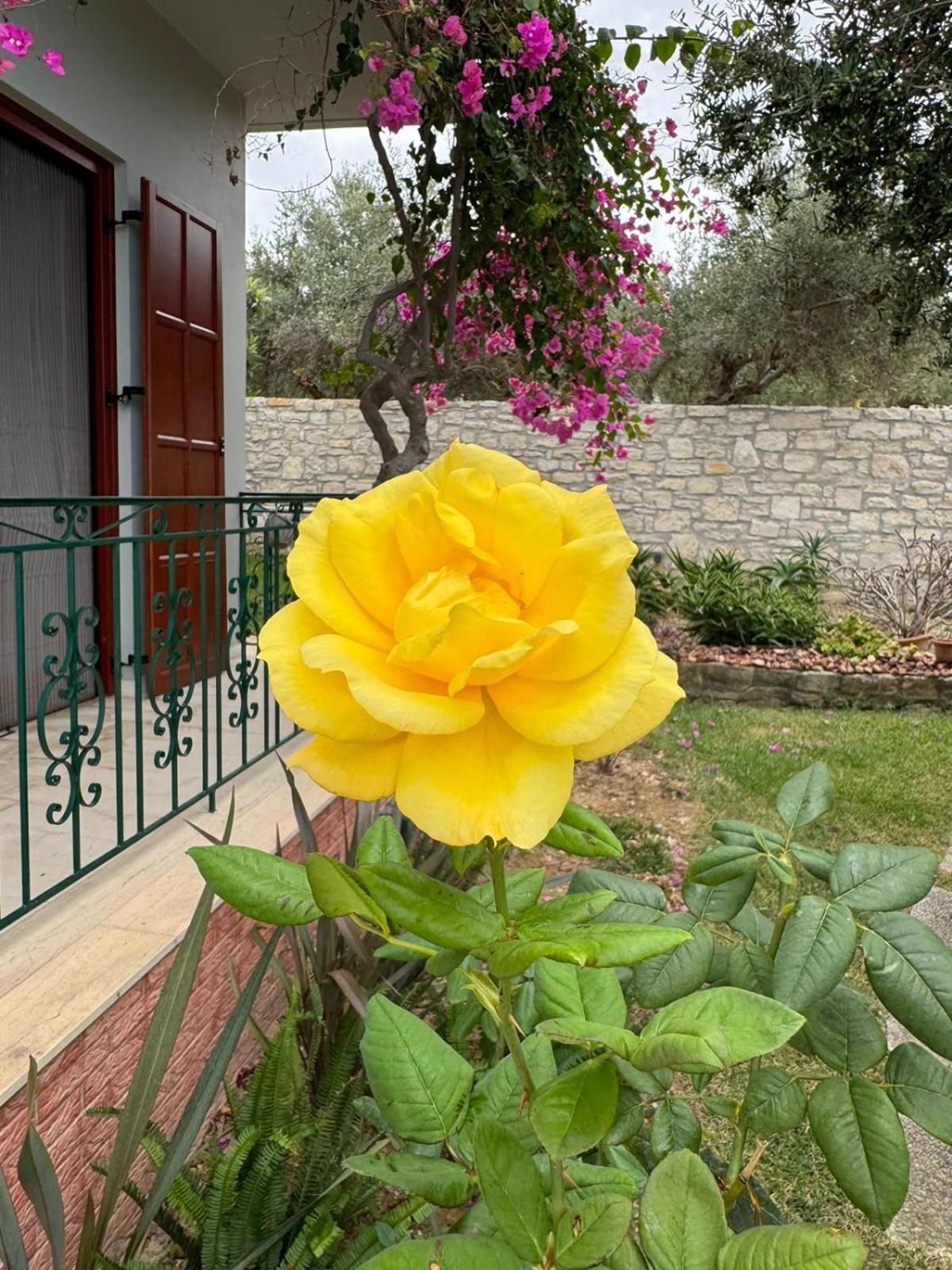 Lily'S Cottage Платанес Экстерьер фото